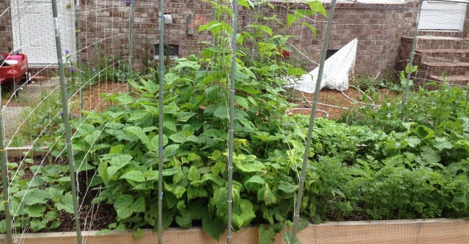 Raised Bed Garden