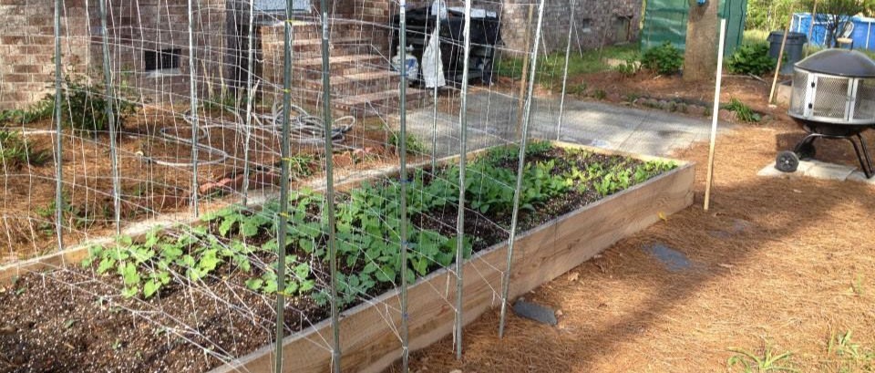 Raised Bed Garden